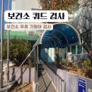 강서구보건소 | [보건소 무료 기형아검사] 강서구 보건소 쿼드검사 후기