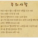 천년거북 희상 이미지