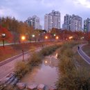 분당-196 이미지