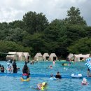 서울회관 | 🏊‍♂️ 서울 어린이회관 야외수영장 방문 후기! 매점 메뉴, 준비물 총정리