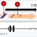 김제농생명마이스터고등학교 이미지