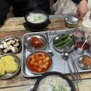 새파란보스족발 사수점 | 먹고 또 먹고 먹고 -
