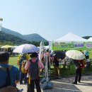선운사꽃무릇 | 고창 | 산책하기 좋은 선운사에 예쁘게 핀 꽃무릇! 상사화 축제 후기
