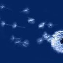 [골목]합창 이미지