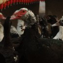 진미밥상 이미지