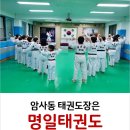 용인대명일태권도 이미지
