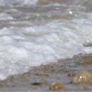 변산 프로방스 이미지