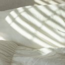 백악관모텔 이미지