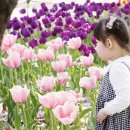 연지공원(북) 이미지