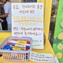 강릉 강문해변 감성카페 분좋카 <유유자적> 내돈내산 후기(메뉴, 주차)