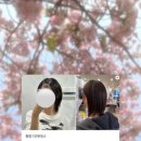 노원 미용실 방문 솔직 후기 | 포이에마부띠끄