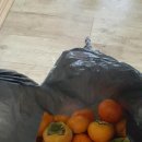 종성농장 이미지