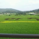 옹달샘꽃누름마을 이미지