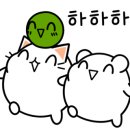 글로리아헤어 - 강북구 | 글로리아헤어