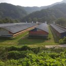 산마을 양계장 이미지