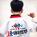 로운태권도장 네이버블로그
