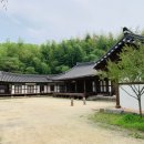 난초다실 이미지