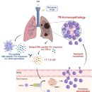 JA 임상병리 동물병원 이미지