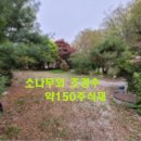 대지부속 이미지