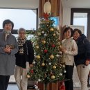 피노펠리즈 이미지