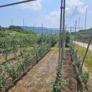 정배농장 이미지