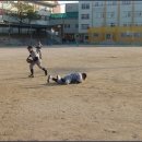 신광초등학교 이미지