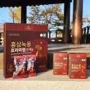 시감건강