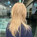 (집)씨유소하일로점 | 광명미용실 토니앤가이 광명점 허쉬컷 미승디자이너 방문 후기