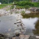 영춘농장 이미지