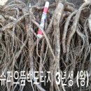 정성슈퍼 - 정읍시 산외로 433 | 정성슈퍼
