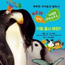 자연속으로 이미지