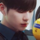 너는 내 댕댕 이미지