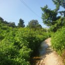 The부강공인중개사사무소 이미지