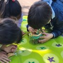 용진초등학교 이미지