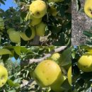 금계농장2 이미지