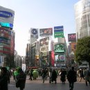 스타벅스 앞 횡단보도 이미지