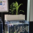 (주)비케이팜 이미지