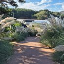 플라워캠핑장 이미지