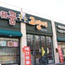 개꿈꾸는 고양이 이미지