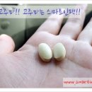 (주) 한국씨엔에스 이미지