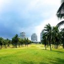 크리스탈 골프클럽 이미지