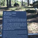 영광 성산리 지석묘군 이미지