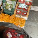 원주 단구동 대박청과 🍓 사과·딸기 장보기 일상 후기