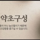 자연과건강 이미지