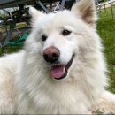 꼭지농원