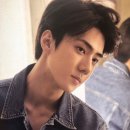 시그널하우스 이미지