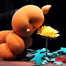 동해시 평생교육센터 이미지