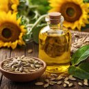 친환경 화분 만들기 이미지