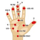 신비코 이미지