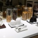 해이븐(HAVEN) 이미지